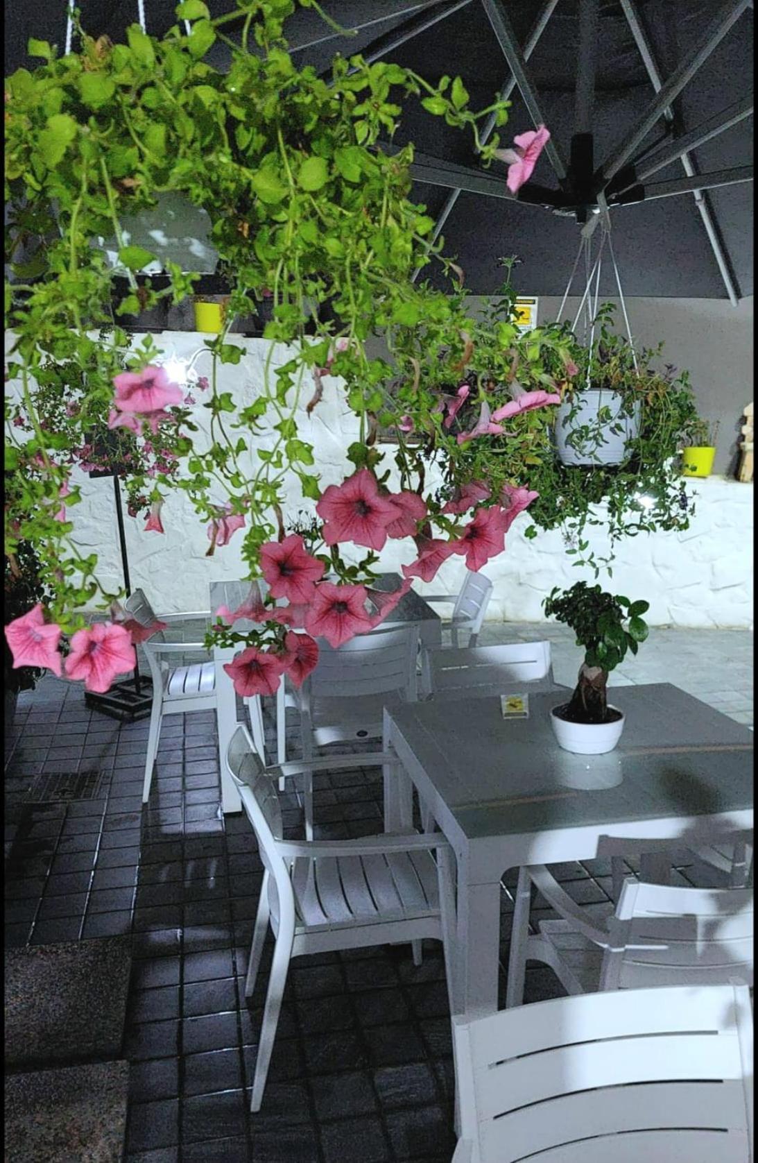 Appartement Il Borghetto House Brown *